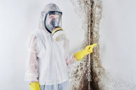 Biohazard Mold Removal in Mandan, ND